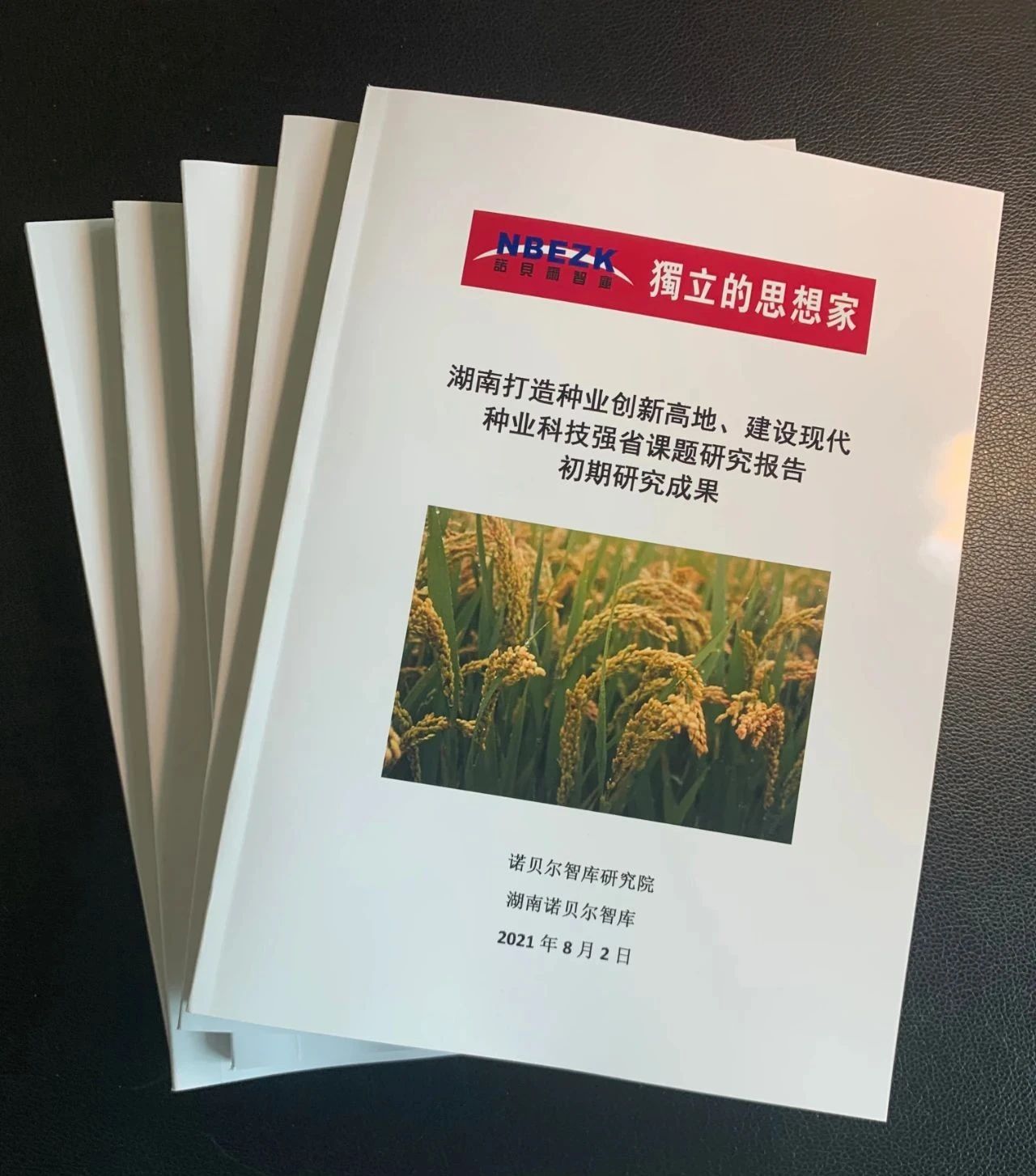 湖南打造种业创新高地、建设现代种业科技强省课题研究
